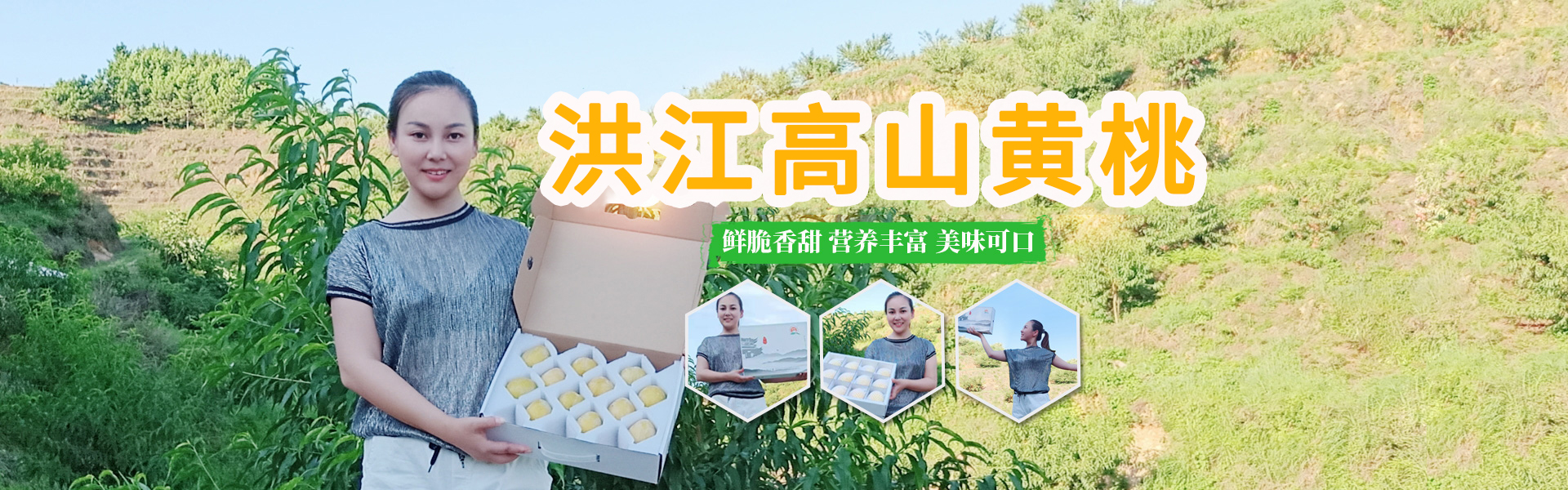 洪江市禹甜科技有限公司_黔陽瞐_農產品的批發零售 洪江市禹甜科技有限公司_黔陽瞐_農產品的批發零售